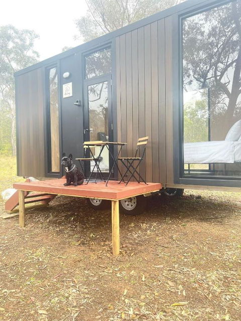 Whispering Wallaby By Tiny Away - Accommodation Redcliffe 1
