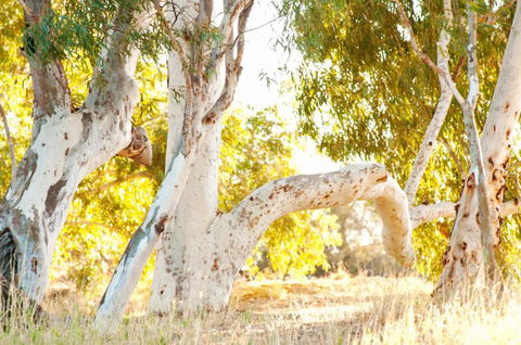 Wooramel River Retreat - Accommodation Redcliffe 3