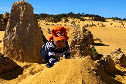 Perth Kids Explorer (Private) Day Tour - Accommodation Redcliffe 3