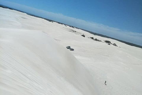 Yanchep & Lancelin - Wildlife, Cave And Sands - Accommodation Redcliffe 3