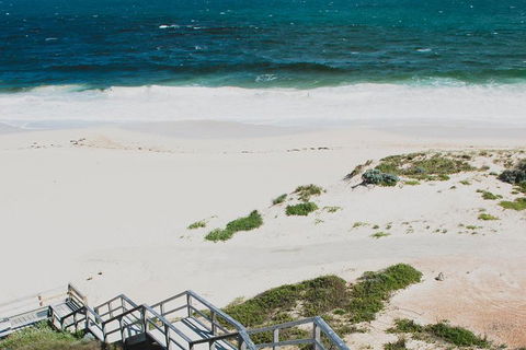 Yanchep & Lancelin - Wildlife, Cave And Sands - Accommodation Redcliffe 5