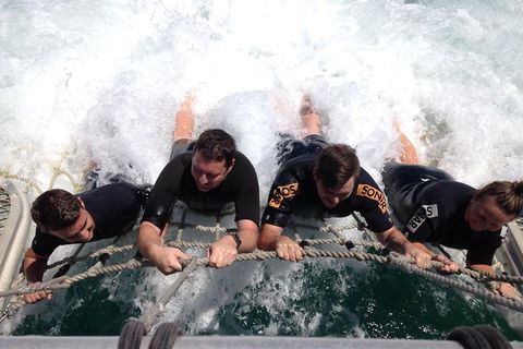 Cruise In Moreton Bay Marine Park And Moreton Island - Accommodation Redcliffe 0
