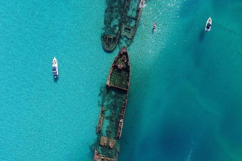 Cruise In Moreton Bay Marine Park And Moreton Island - Accommodation Redcliffe 1