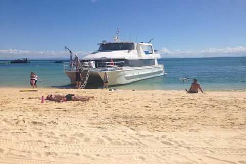 Cruise In Moreton Bay Marine Park And Moreton Island - Accommodation Redcliffe 4