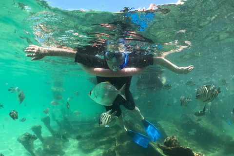 Cruise In Moreton Bay Marine Park And Moreton Island - Accommodation Redcliffe 5