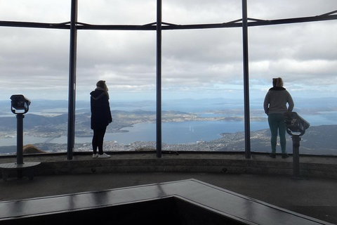 Kunanyi / Mt Wellington Explorer Bus - 2 Hour Return Tour - Accommodation Redcliffe 1