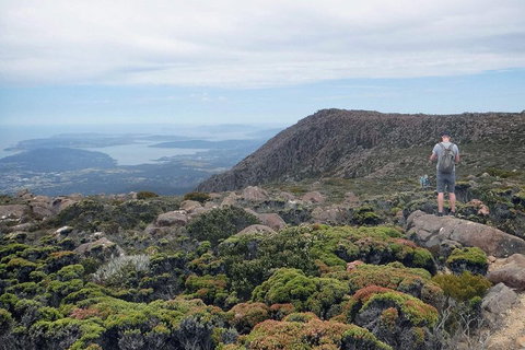 Kunanyi / Mt Wellington Explorer Bus - 2 Hour Return Tour - Accommodation Redcliffe 3