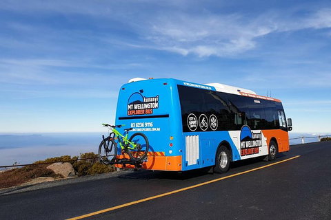 Kunanyi / Mt Wellington Explorer Bus - 2 Hour Return Tour - Accommodation Redcliffe 4
