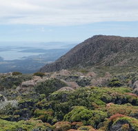 kunanyi/Mt Wellington Explorer Bus - One Way Tour - Accommodation Redcliffe