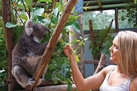 Private Guided Tour: Blue Mountains Tour From Sydney - Accommodation Redcliffe 5