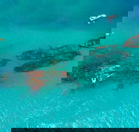 Private Tangalooma Wrecks Tour - Accommodation Redcliffe