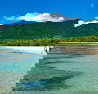 5-Day Best of Cairns with Daintree Kuranda and Great Barrier Reef - Accommodation Redcliffe
