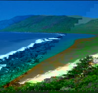 Cairns Reef and Rainforest Combo Daintree Rainforest and the Great Barrier Reef - Accommodation Redcliffe