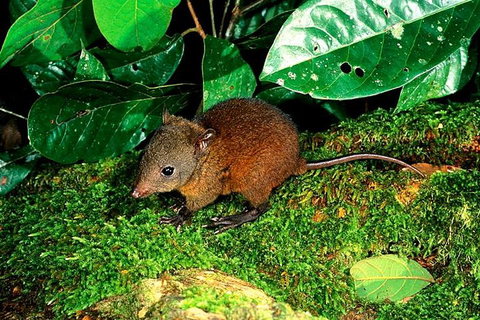 3-Day Small-Group Tour Of North Queensland With Pick Up - Accommodation Redcliffe 0