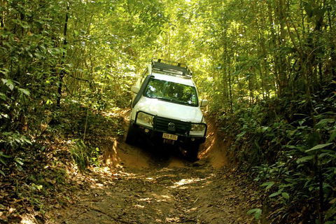 Cairns National Park Rainforest And Waterfall Small Group Tour Shore Excursion - Accommodation Redcliffe 0