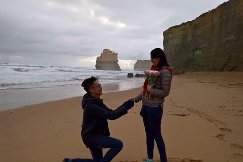 Private Express Experience - 12 Apostles - Accommodation Redcliffe 2