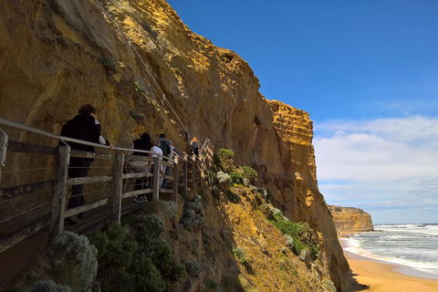 Private Express Experience - 12 Apostles - Accommodation Redcliffe 3