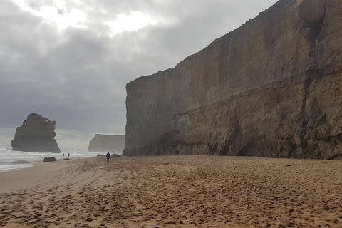 Private Express Experience - 12 Apostles - Accommodation Redcliffe 4