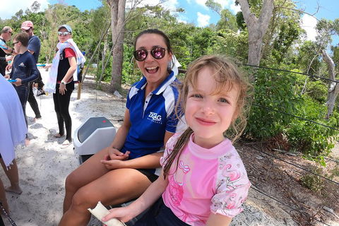 Whitehaven Beach Day Tour With Snorkel In Whitsundays Island - Accommodation Redcliffe 1