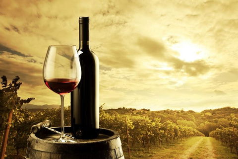 McLaren Vale Luxury Wine Tour - Accommodation Redcliffe 0