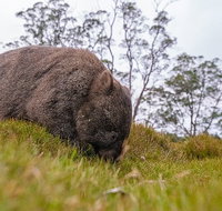 3-Day Cradle Mountain Photography Workshop - Accommodation Redcliffe