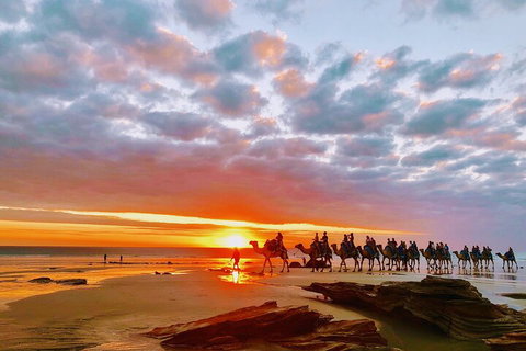 1 Hour Broome Sunset Camel Tour - Accommodation Redcliffe 0