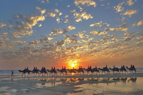1 Hour Broome Sunset Camel Tour - Accommodation Redcliffe 1