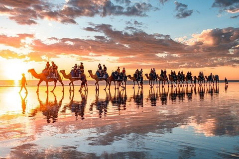 1 Hour Broome Sunset Camel Tour - Accommodation Redcliffe 2