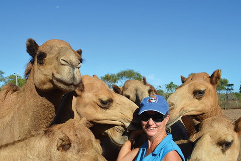 1 Hour Broome Sunset Camel Tour - Accommodation Redcliffe 3