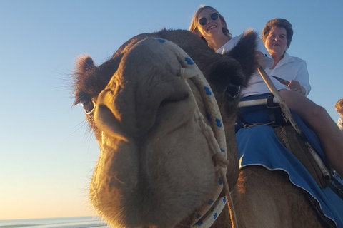1 Hour Broome Sunset Camel Tour - Accommodation Redcliffe 4