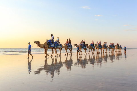 1 Hour Broome Sunset Camel Tour - Accommodation Redcliffe 5
