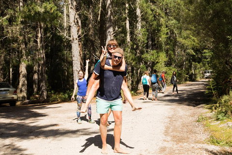 7-Day Best Of Tasmania Adventure Experience From Hobart (flexible Ticket) - Accommodation Redcliffe 5