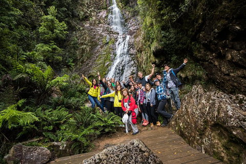 5-Day Lap Of Tasmania Tour From Hobart (flexible Ticket) - Accommodation Redcliffe 0