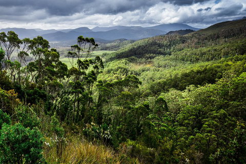 5-Day Lap Of Tasmania Tour From Hobart (flexible Ticket) - Accommodation Redcliffe 2