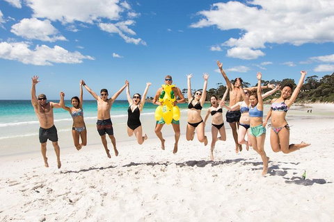 5-Day Lap Of Tasmania Tour From Hobart (flexible Ticket) - Accommodation Redcliffe 4