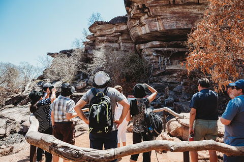 Kakadu Full-Day Tour From Darwin With Lunch - Accommodation Redcliffe 1