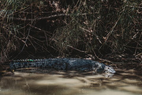 Kakadu Full-Day Tour From Darwin With Lunch - Accommodation Redcliffe 4