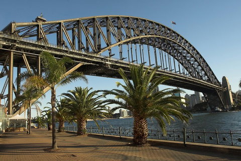 Private Sydney City And Bondi Beach Half Day Tour - Accommodation Redcliffe 4