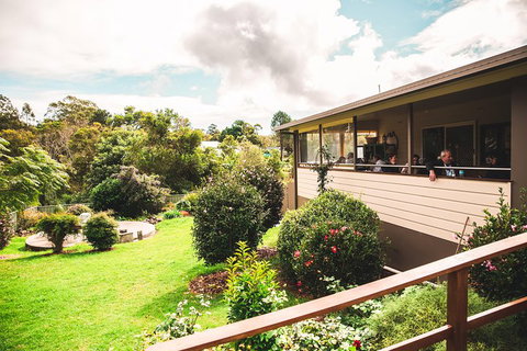 Full-day Springbrook National Park Tour From The Gold Coast - Accommodation Redcliffe 2