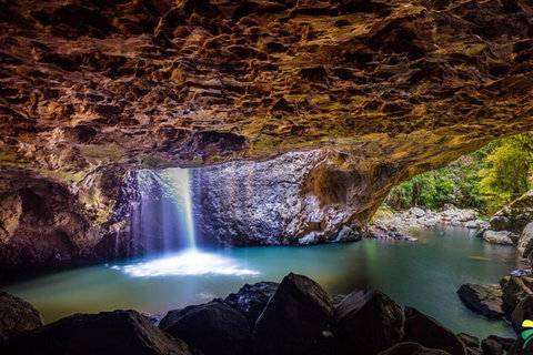 Full-day Springbrook National Park Tour From The Gold Coast - Accommodation Redcliffe 3