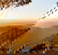 O'Reilly's  Lamington National Park incl. Alpaca Farm  Vineyard - Accommodation Redcliffe