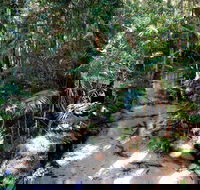 Fraser Island 4WD Tour from Rainbow Beach - Accommodation Redcliffe