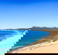 Kayak with Dolphins and 4WD Great Beach Drive Day Trip from Noosa - Accommodation Redcliffe