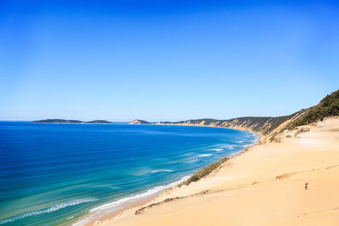 Kayak With Dolphins And 4WD Great Beach Drive Day Trip From Noosa - Accommodation Redcliffe 0
