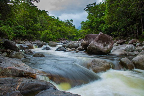 Cape Tribulation Day Tour - Accommodation Redcliffe 0
