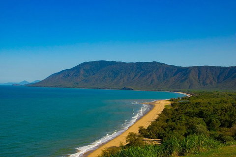 Cape Tribulation Day Tour - Accommodation Redcliffe 1