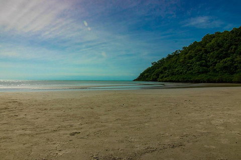 Cape Tribulation Day Tour - Accommodation Redcliffe 2