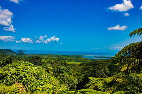 Cape Tribulation Day Tour - Accommodation Redcliffe 3