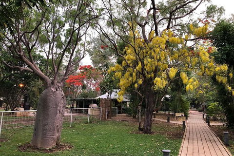 Wet Season Mitchell Falls Tour - Mitchell Falls, Horizontal Falls & Cygnet Bay - Accommodation Redcliffe 1