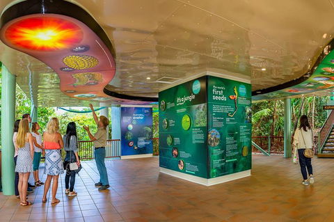 Skyrail & Kuranda Train Day Trip From Cairns - Accommodation Redcliffe 0